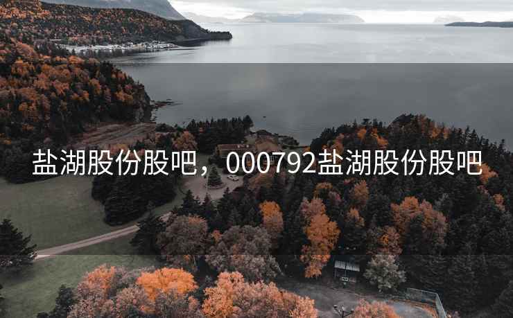 盐湖股份股吧，000792盐湖股份股吧