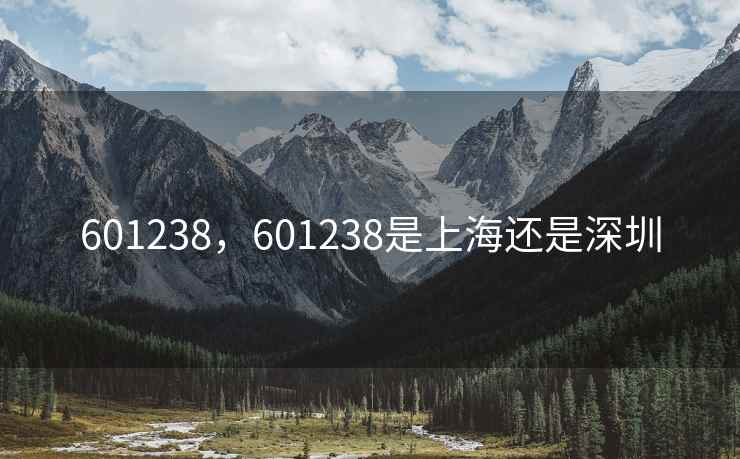 601238，601238是上海还是深圳