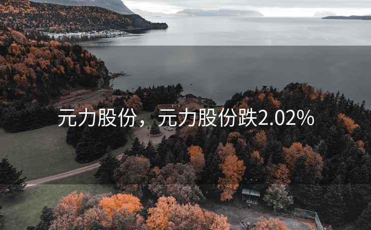 元力股份,元力股份跌2.02% 元力股份,元力股份跌2.02%