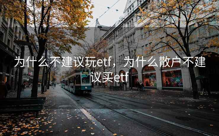 为什么不建议玩etf，为什么散户不建议买etf