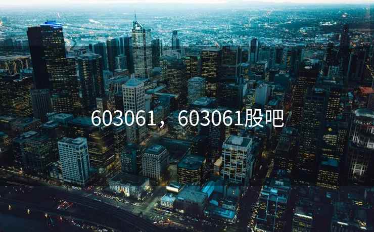 603061，603061股吧