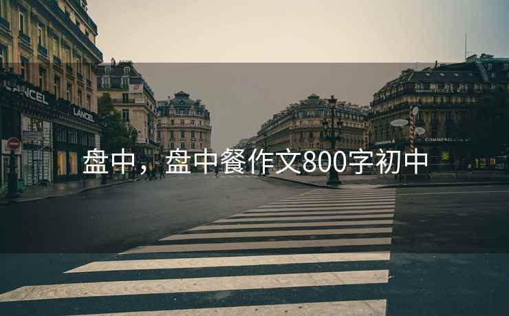 盘中，盘中餐作文800字初中