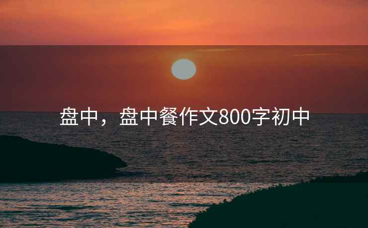 盘中，盘中餐作文800字初中