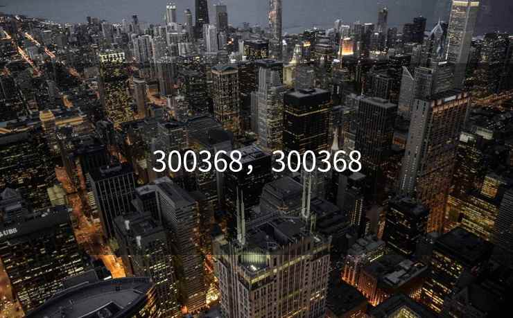 300368,300368 300368,300368
