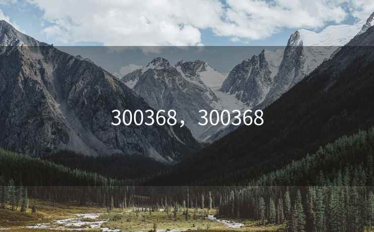 300368,300368 300368,300368