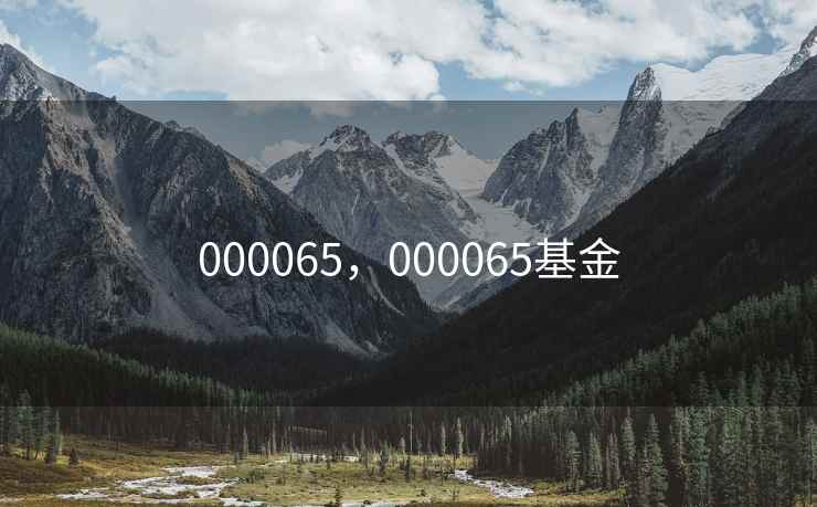 000065，000065基金