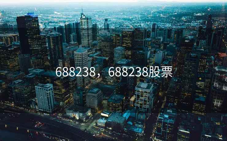 688238，688238股票