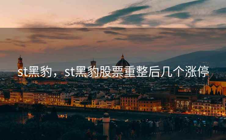 st黑豹，st黑豹股票重整后几个涨停