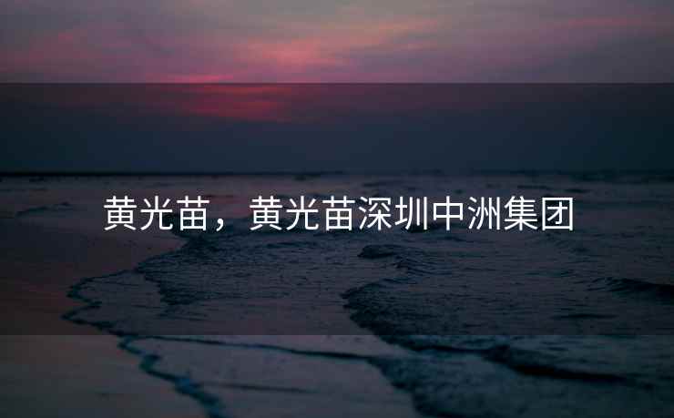 黄光苗，黄光苗深圳中洲集团