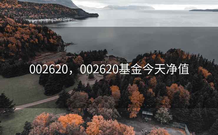 002620，002620基金今天净值
