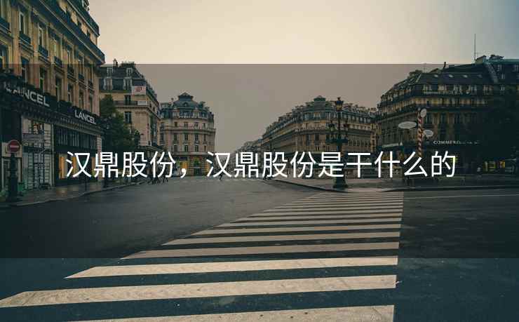 汉鼎股份,汉鼎股份是干什么的 汉鼎股份,汉鼎股份是干什么的