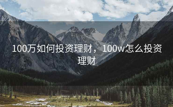 100万如何投资理财，100w怎么投资理财