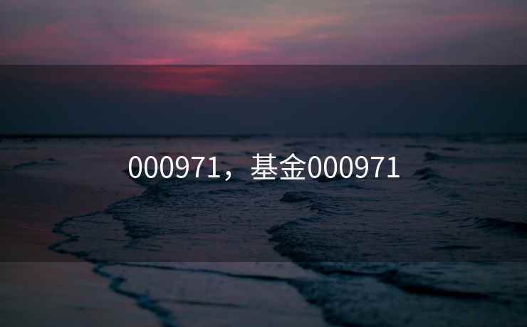 000971,基金000971 000971,基金000971