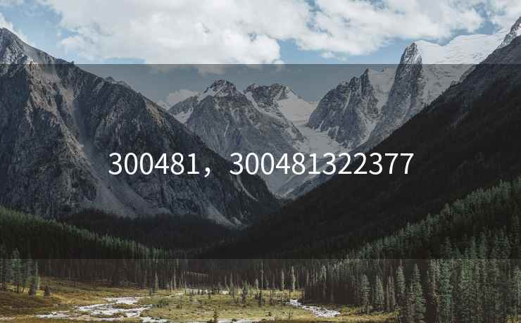 300481，300481322377