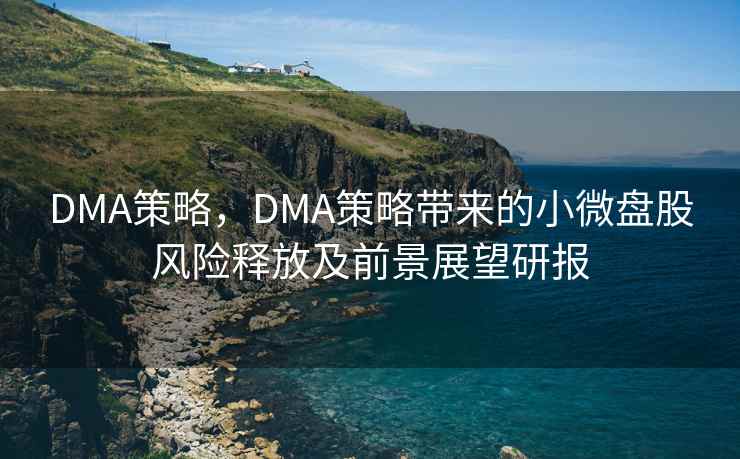 DMA策略，DMA策略带来的小微盘股风险释放及前景展望研报
