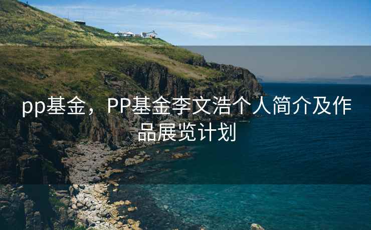 pp基金，PP基金李文浩个人简介及作品展览计划